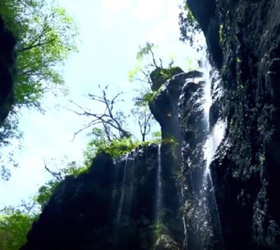 青山綠水，白龍江畔江畔息白鷺，兩岸綠橄欖入眼的都是純樸自然枝上花開(kāi)，春來(lái)水暖魚(yú)蝦戲水，鳥(niǎo)語(yǔ)花香心中充滿(mǎn)著舒暢之感祥宇生態(tài)產(chǎn)業(yè)園，位于隴南市武..
